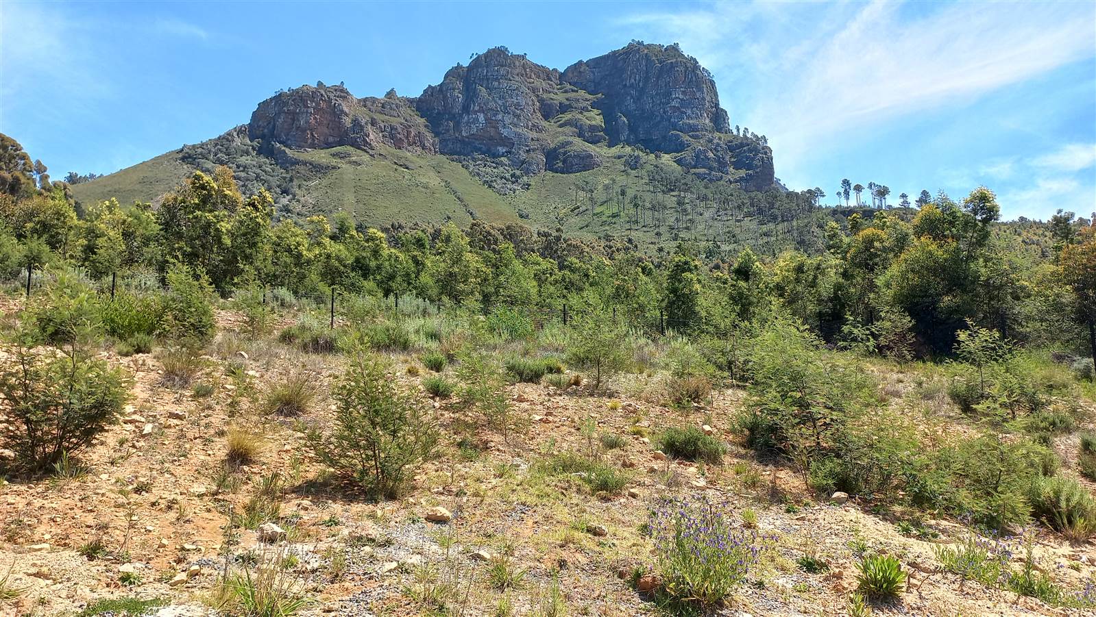 512 m² Land available in Stellenbosch Central photo number 14