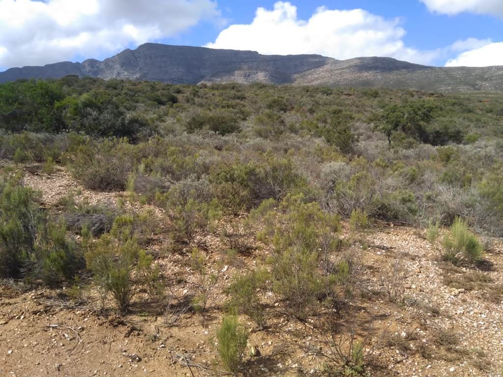 23 ha Land available in Riversdale photo number 9