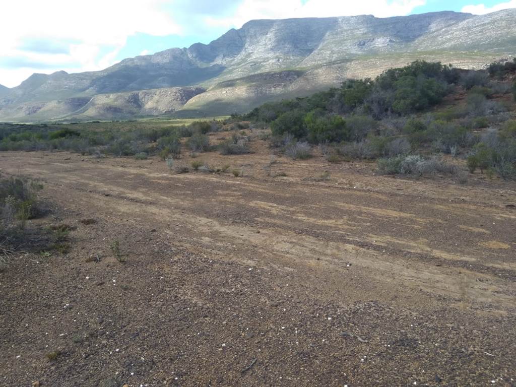 23 ha Land available in Riversdale photo number 4