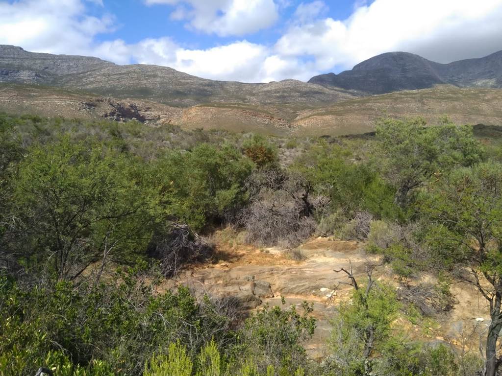 23 ha Land available in Riversdale photo number 2