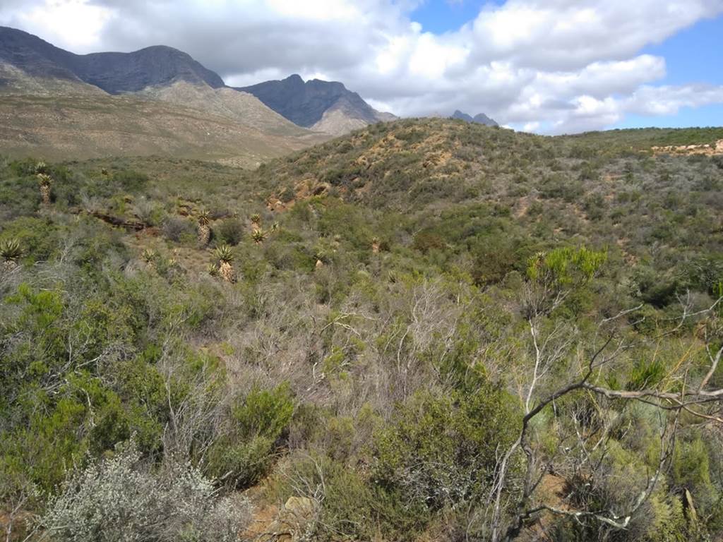 23 ha Land available in Riversdale photo number 8