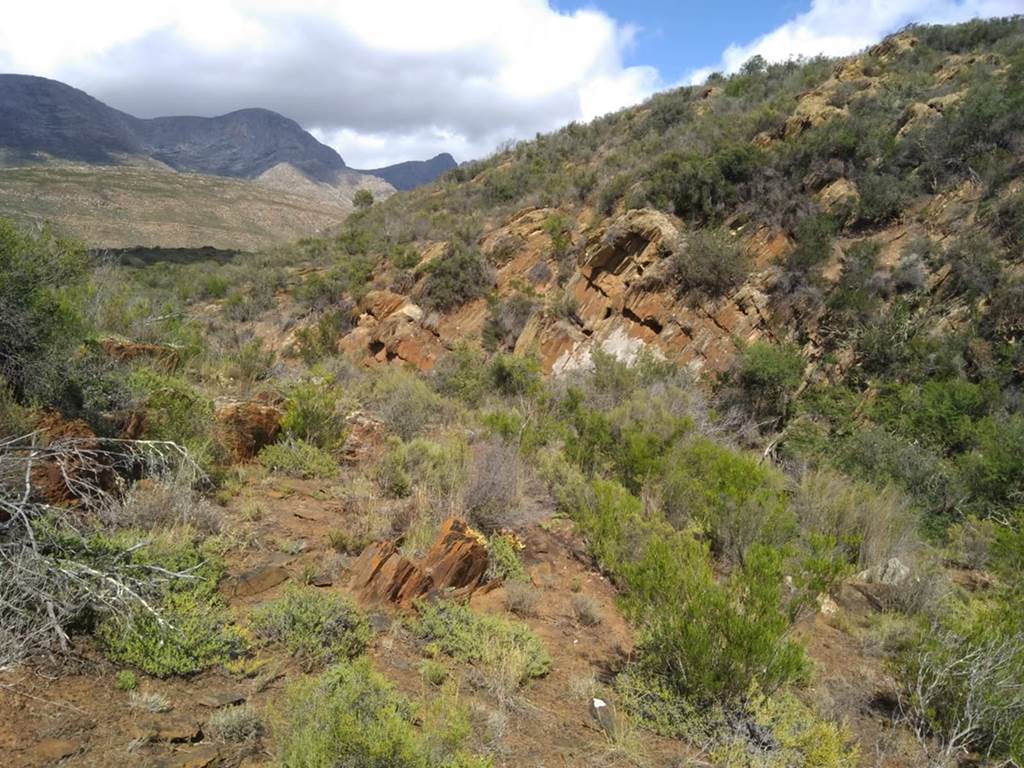 23 ha Land available in Riversdale photo number 12
