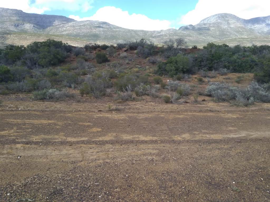 23 ha Land available in Riversdale photo number 5