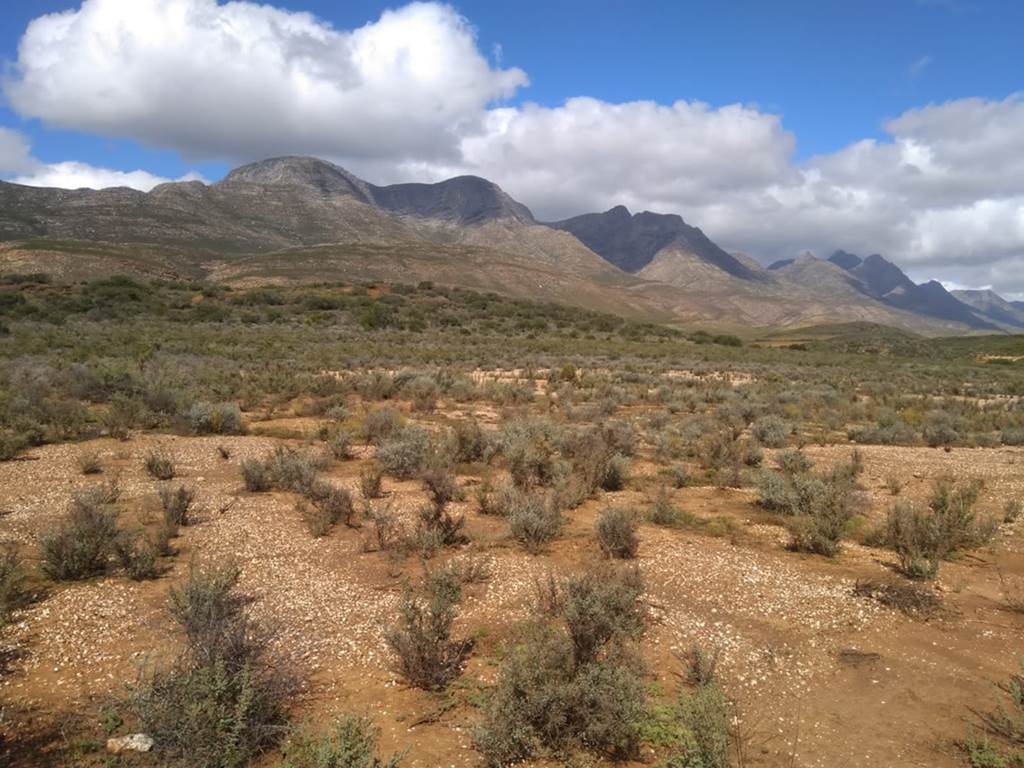 23 ha Land available in Riversdale photo number 6