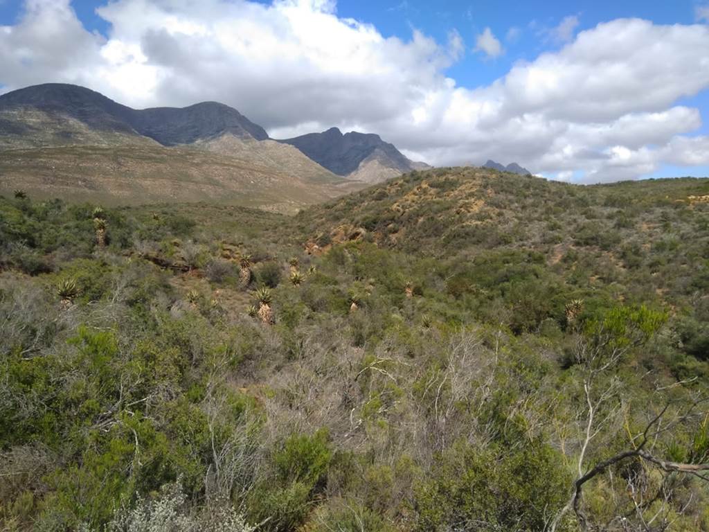 23 ha Land available in Riversdale photo number 10