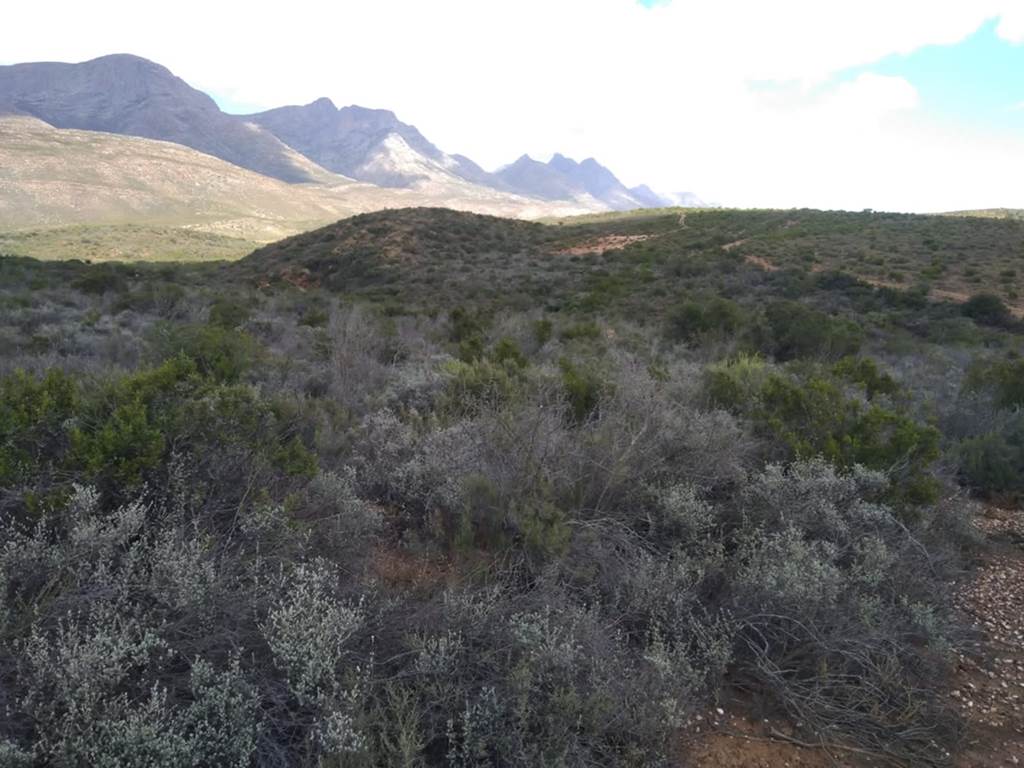 23 ha Land available in Riversdale photo number 15