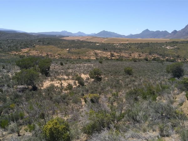 23 ha Land available in Riversdale