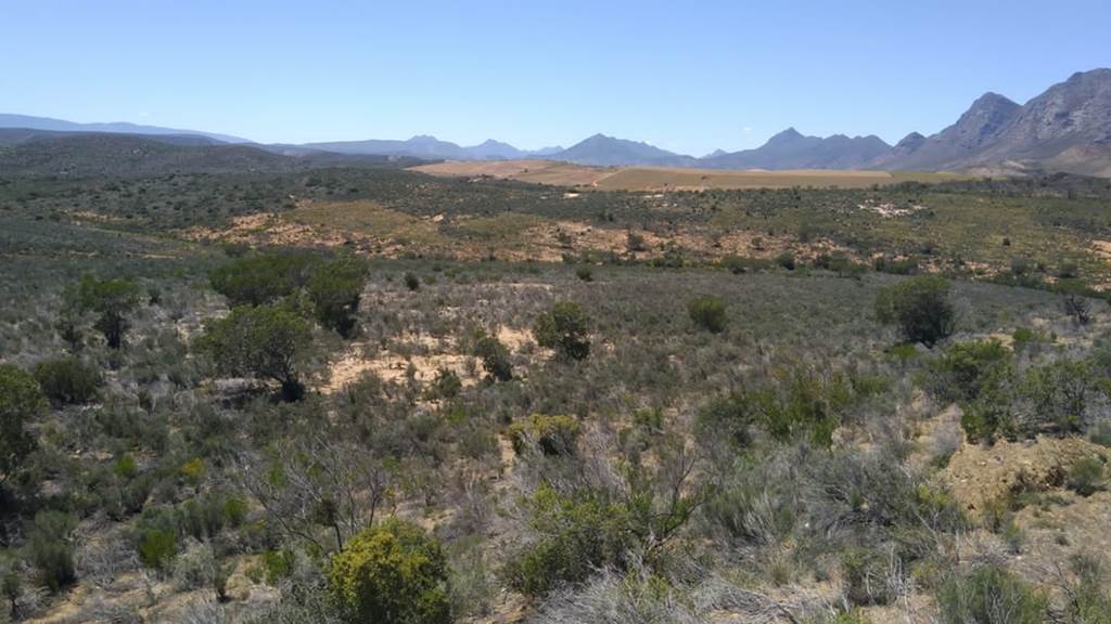 23 ha Land available in Riversdale photo number 1