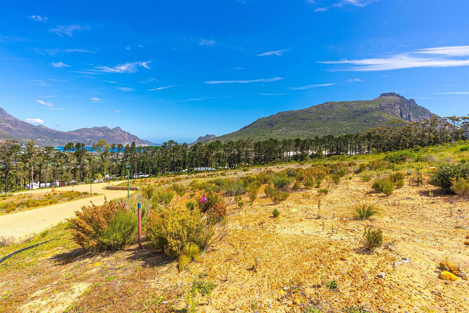 1003 m² Land available in Hout Bay and surrounds photo number 4
