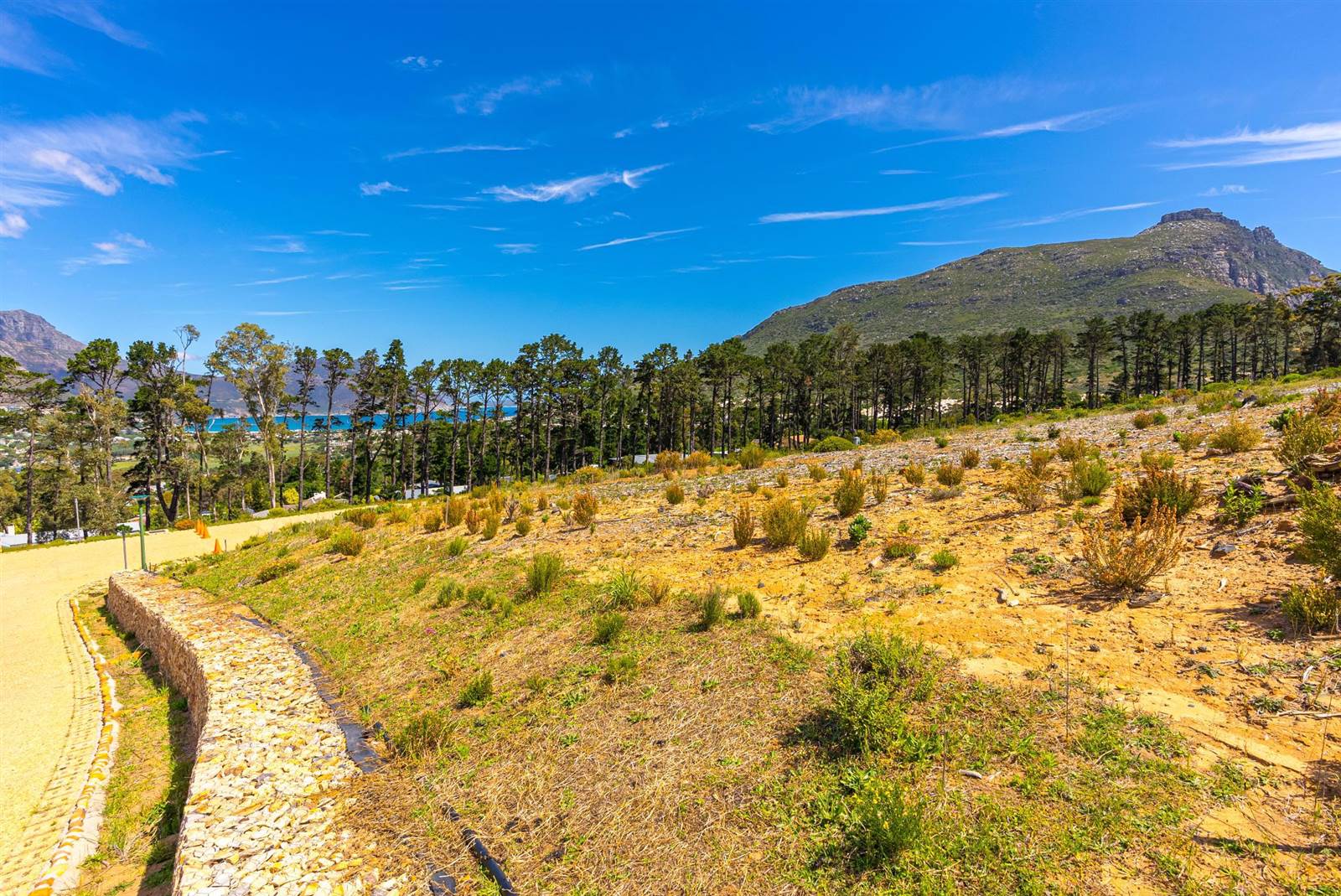 1003 m² Land available in Hout Bay and surrounds photo number 2