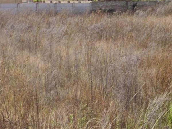 902 m² Land 902 m² Land