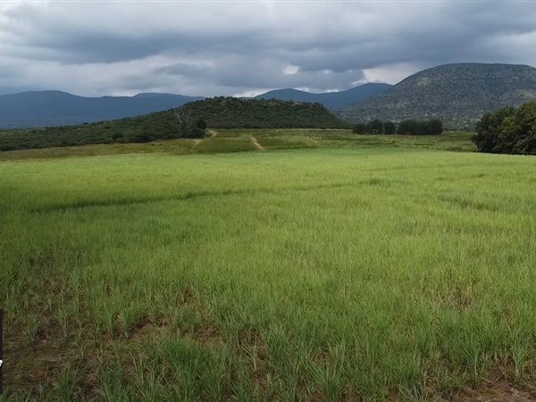 209 ha Farm