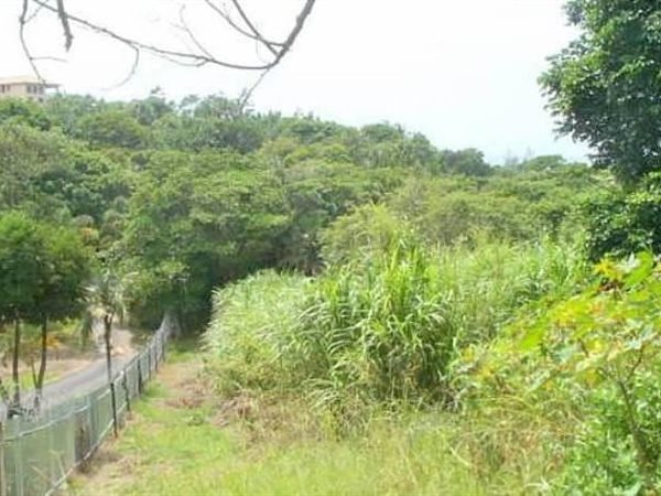 2 158 m² Land