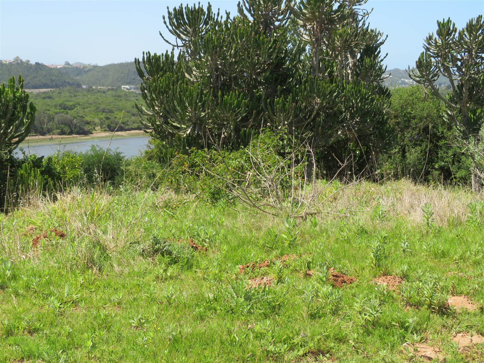 1500 m² Land available in Port Alfred photo number 3