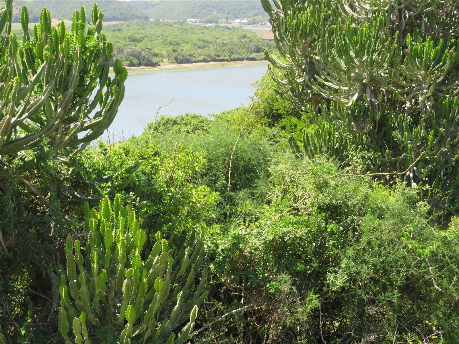 1500 m² Land available in Port Alfred photo number 5