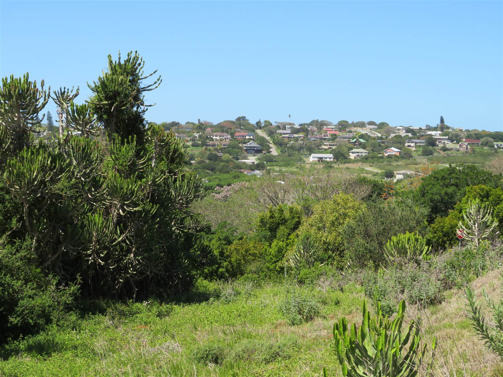 1500 m² Land available in Port Alfred photo number 8