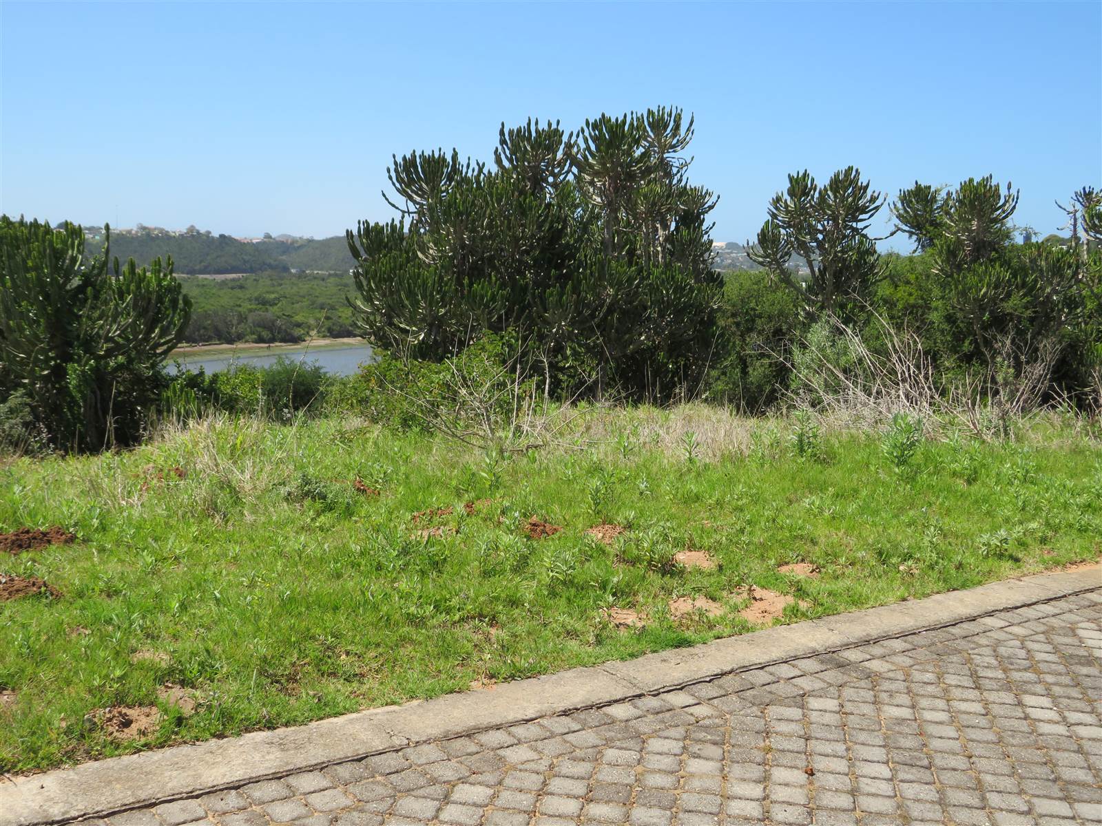 1500 m² Land available in Port Alfred photo number 9