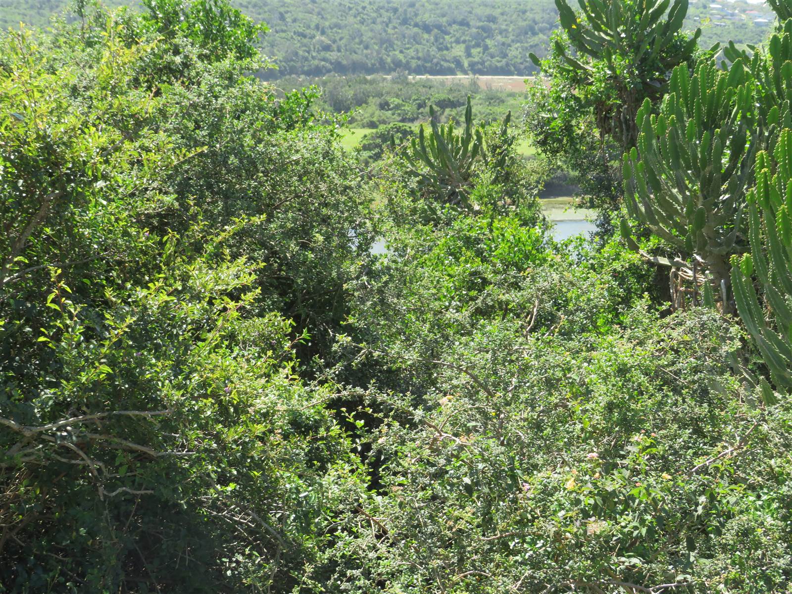 1500 m² Land available in Port Alfred photo number 7