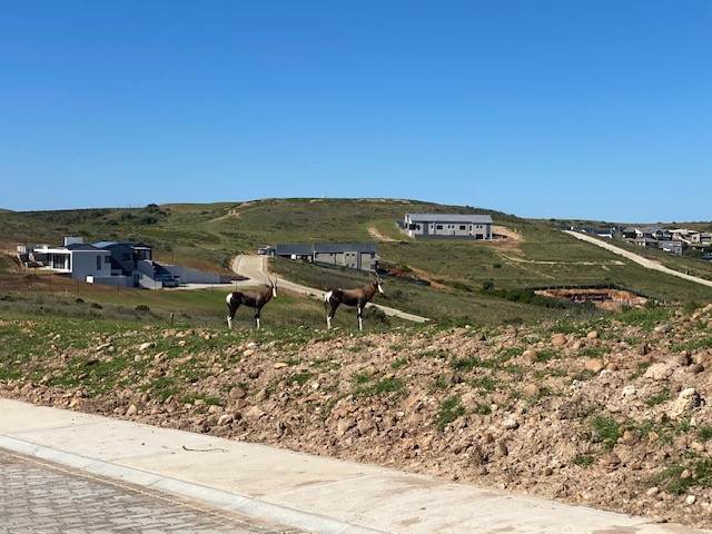 1748 m² Land available in Hartenbos photo number 3