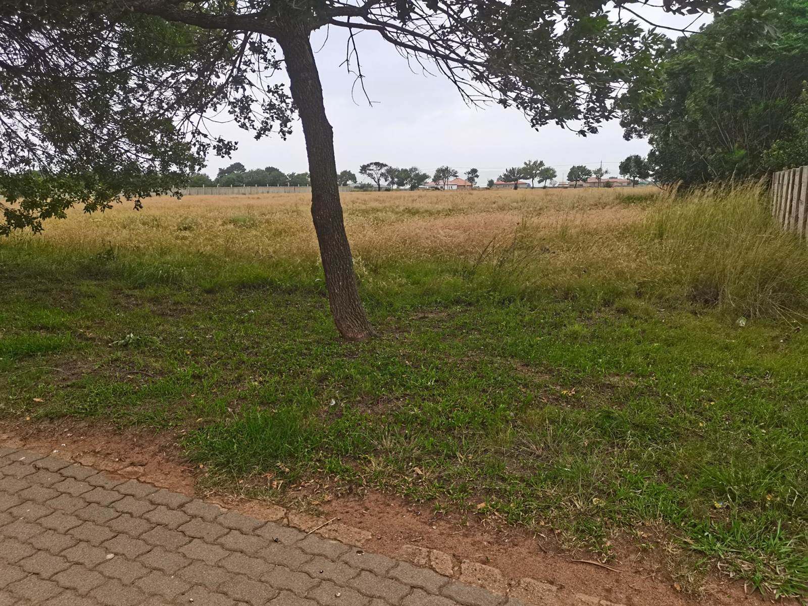 2231 m² Land available in Jameson Park photo number 5