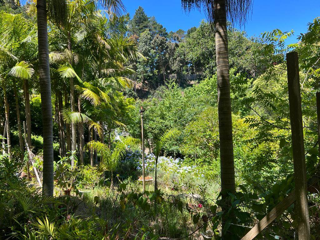 8000 m² Land available in Constantia photo number 27