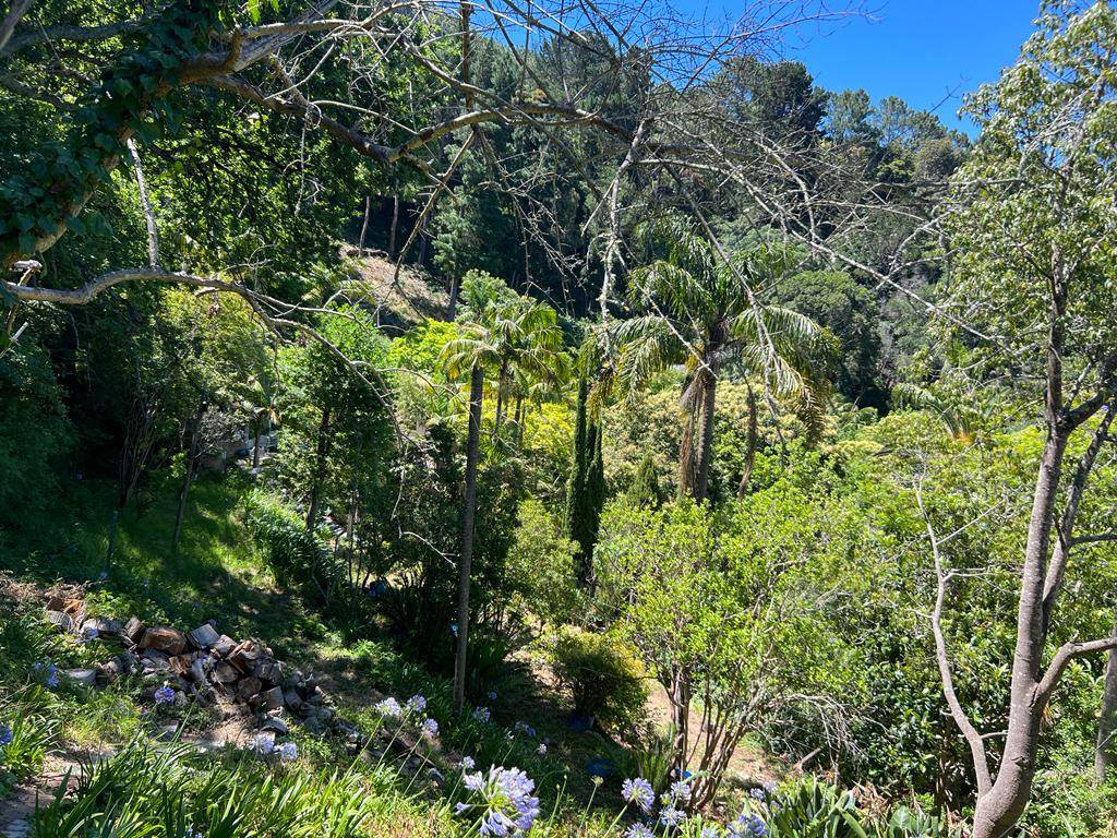 8000 m² Land available in Constantia photo number 26