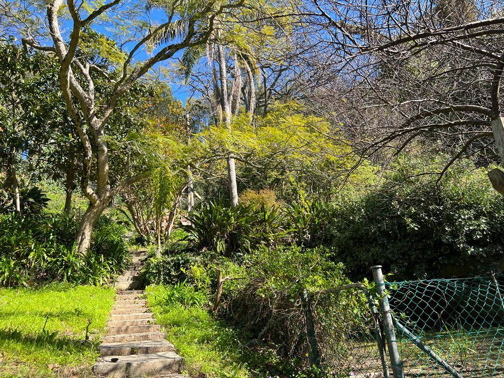 8000 m² Land available in Constantia photo number 11