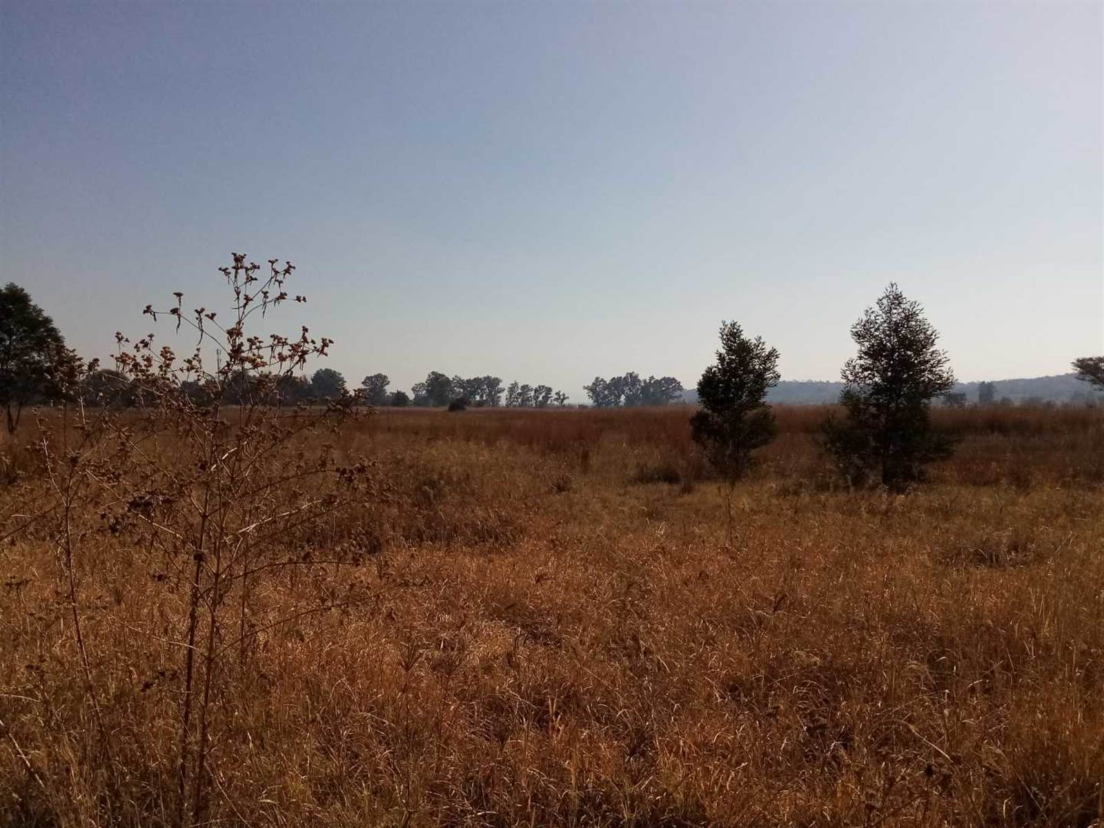 13 ha Land available in Tijger Valley and surrounds photo number 15