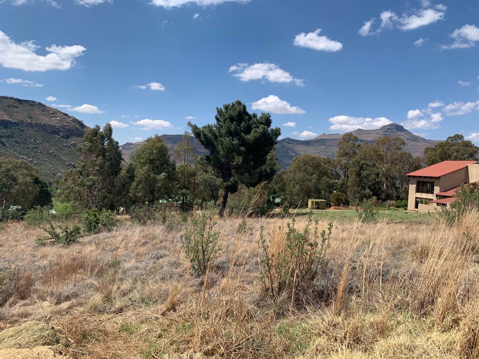 1251 m² Land available in Clarens photo number 1