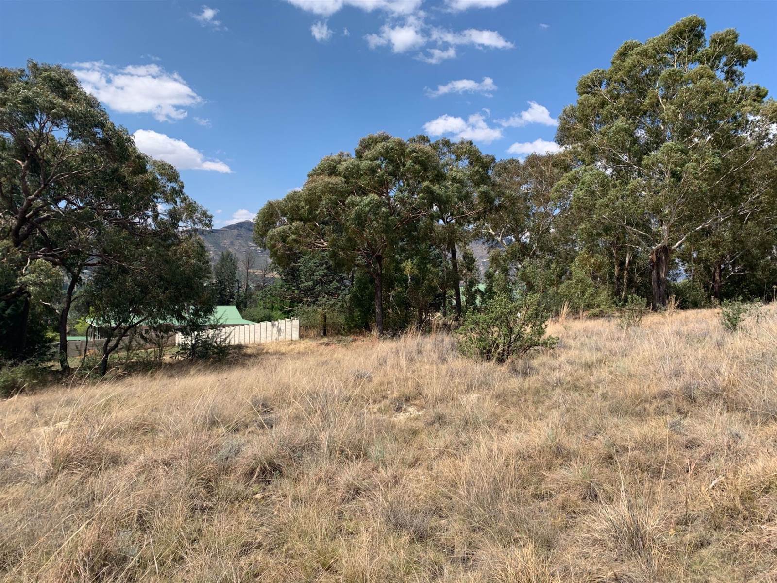 1251 m² Land available in Clarens photo number 7
