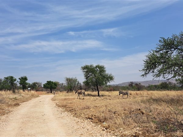 2.1 ha Farm 2.1 ha Farm