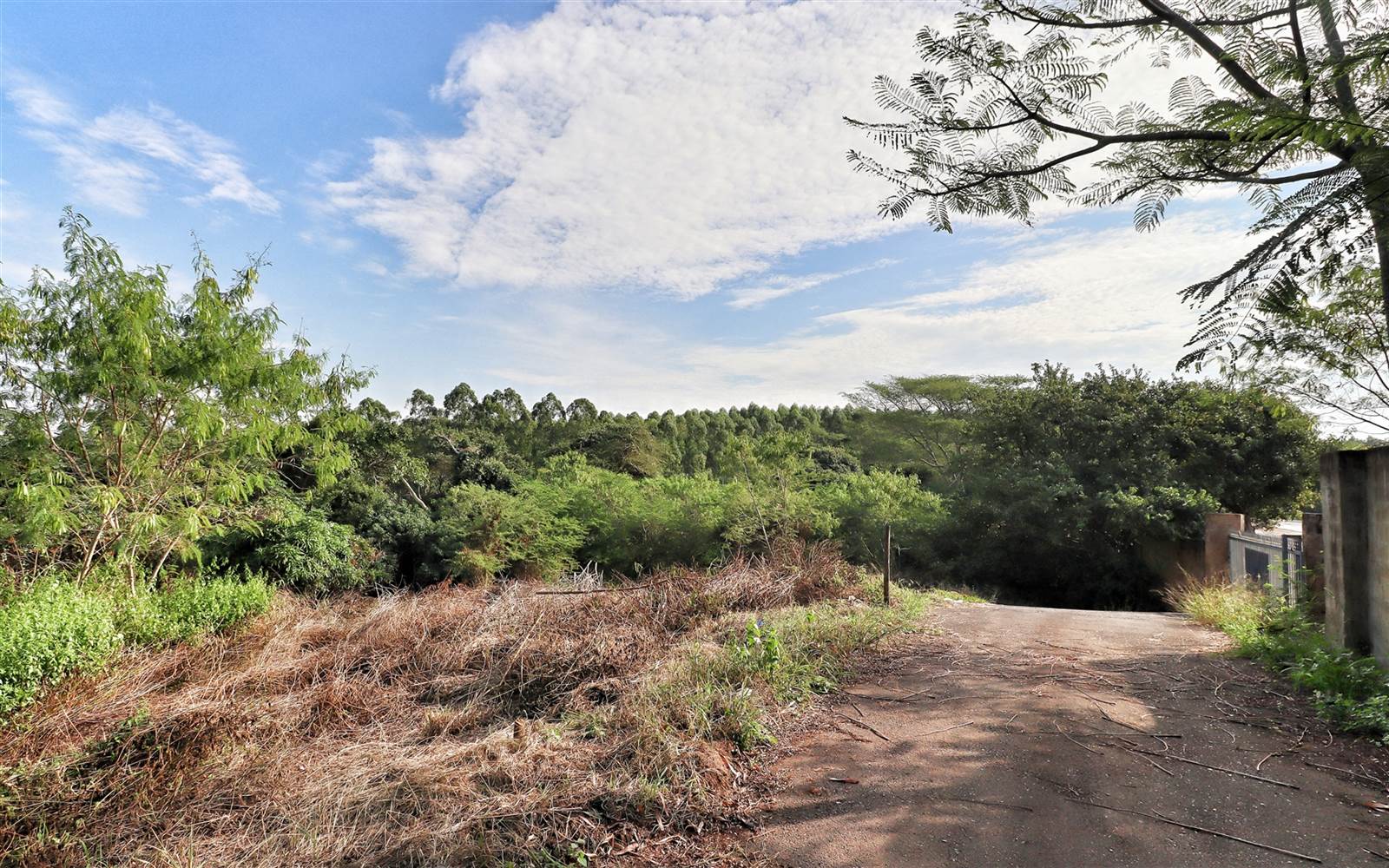 1250 m² Land available in Mtubatuba photo number 12