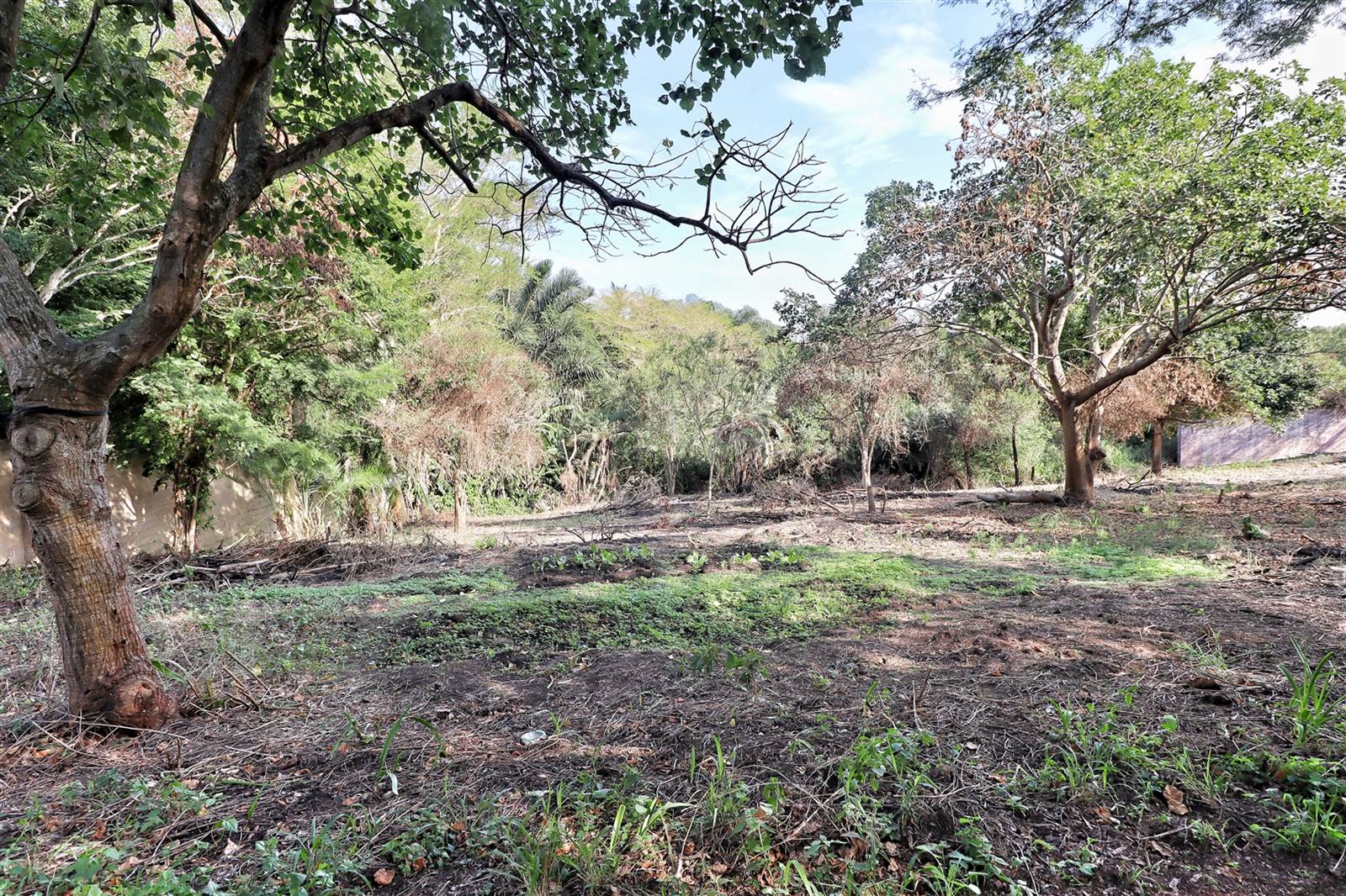1250 m² Land available in Mtubatuba photo number 1