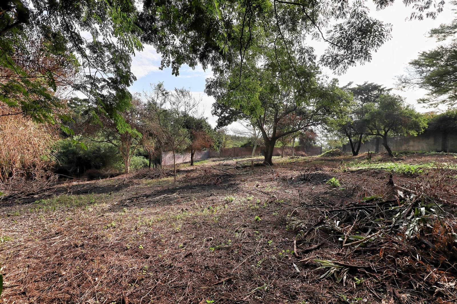 1250 m² Land available in Mtubatuba photo number 8