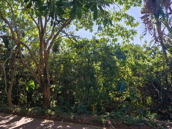 1 564 m² Land 1 564 m² Land