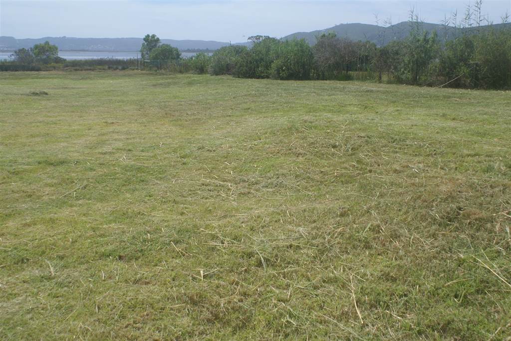1826 m² Land available in Belvidere photo number 2