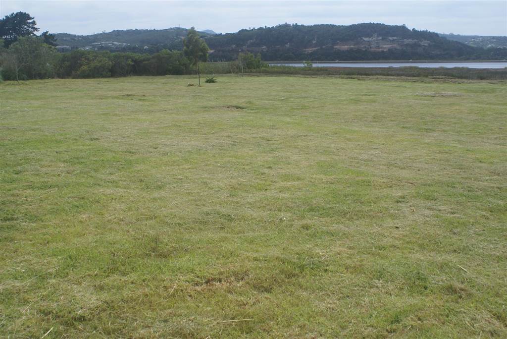 1826 m² Land available in Belvidere photo number 6