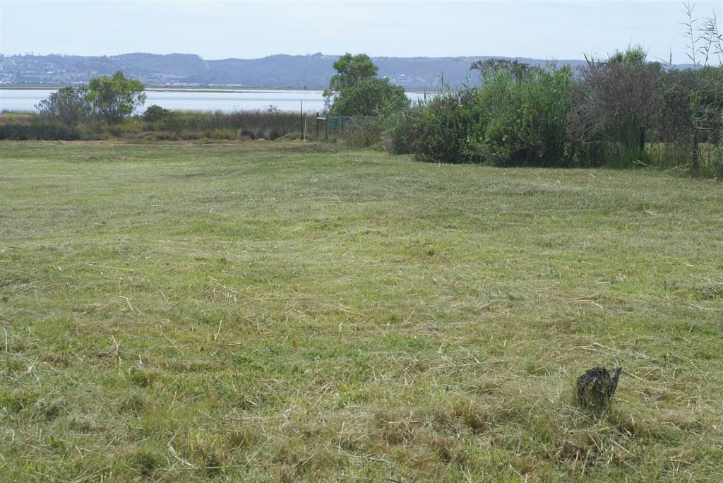 1826 m² Land available in Belvidere photo number 4