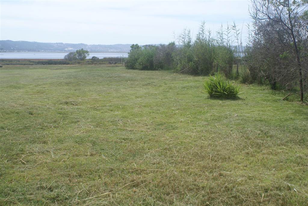 1826 m² Land available in Belvidere photo number 3