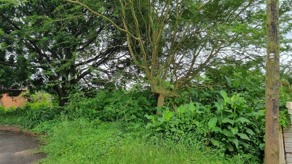 1524 m² Land available in Kloof photo number 6