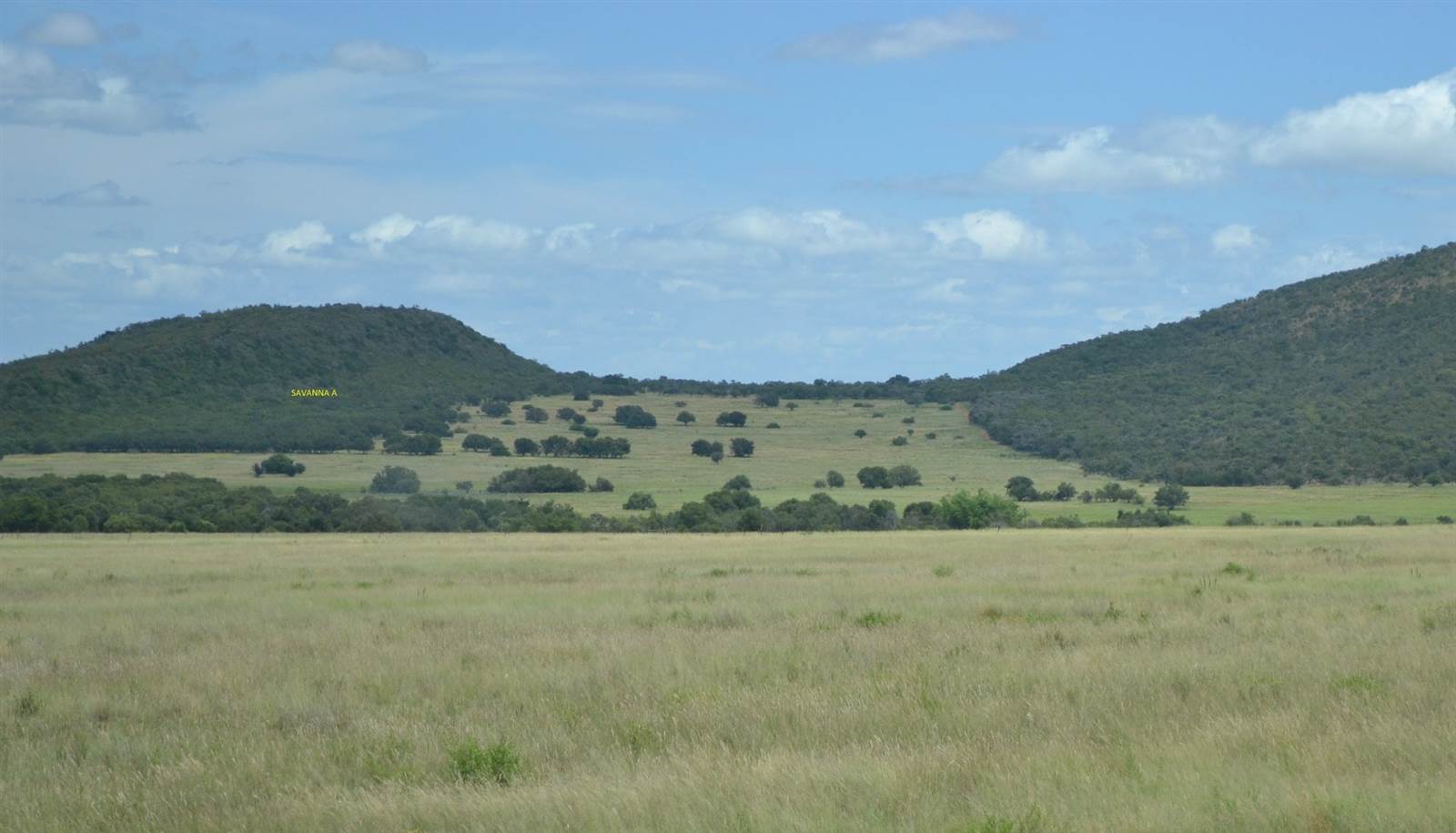 2 ha Land available in Modimolle photo number 4