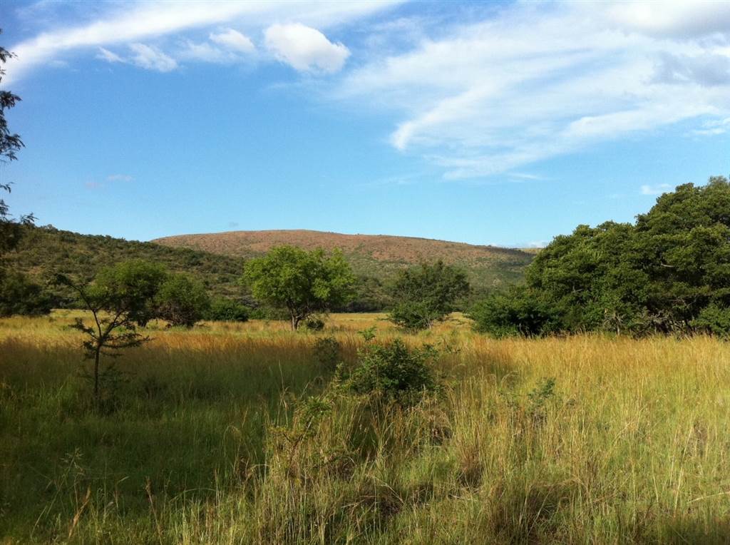 2 ha Land available in Modimolle photo number 1