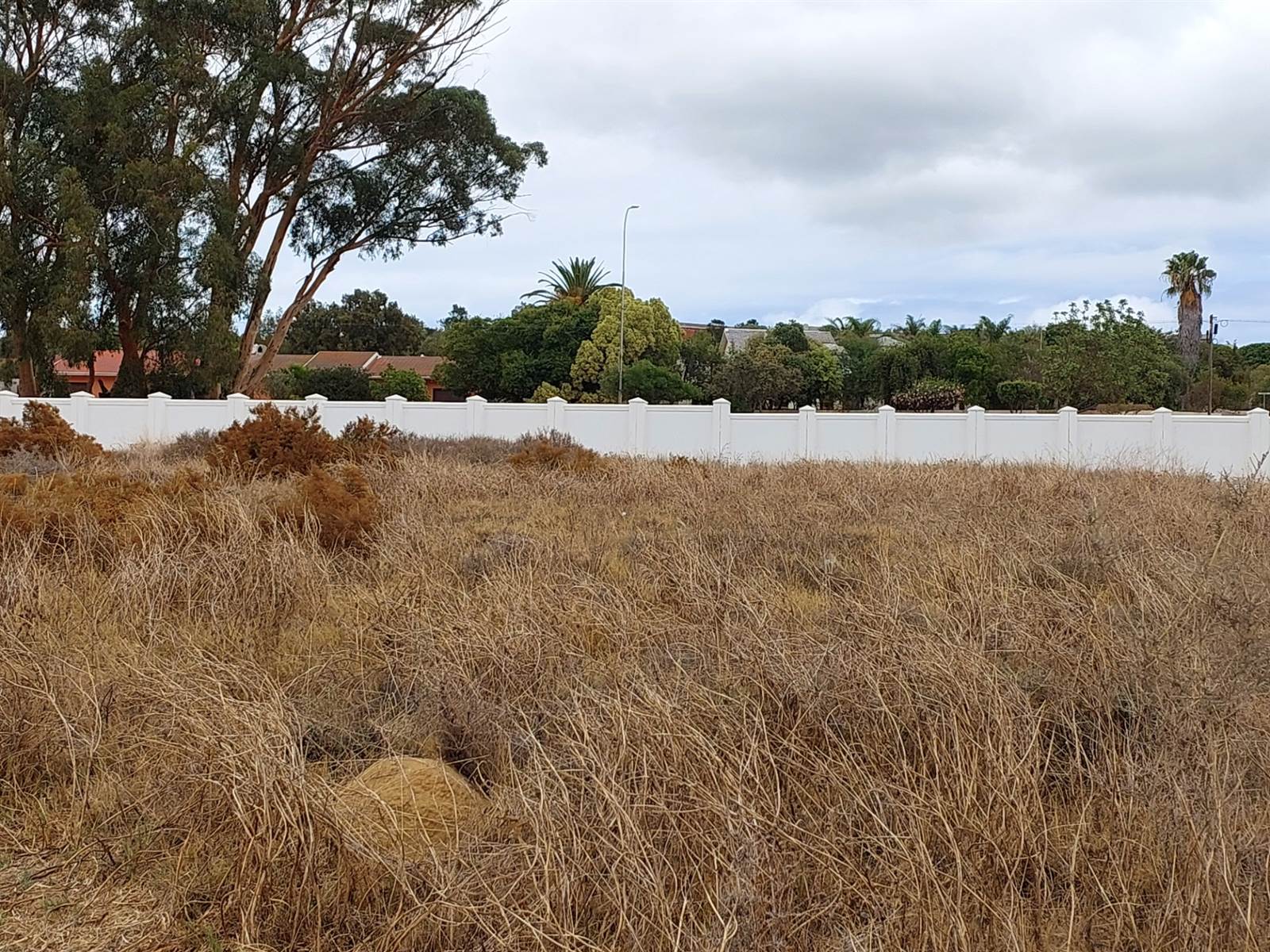 950 m² Land available in Darling photo number 3