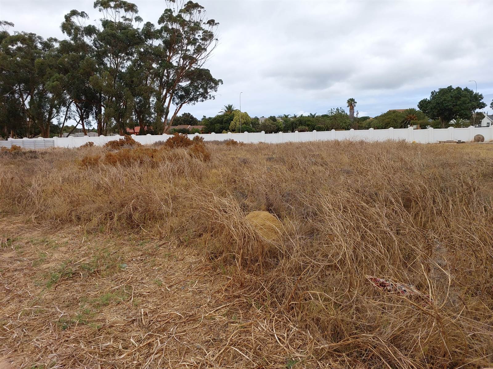 950 m² Land available in Darling photo number 2