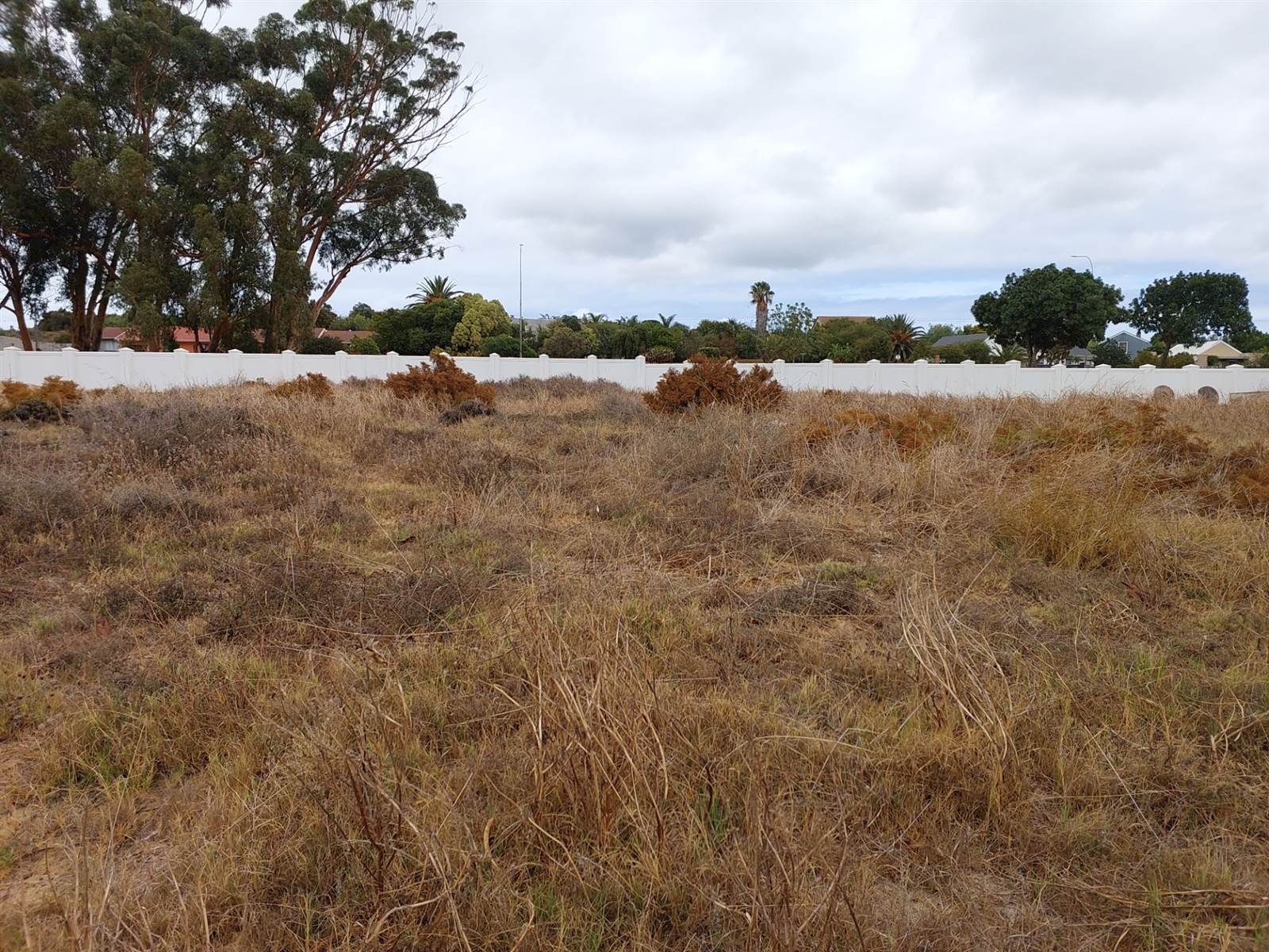 950 m² Land available in Darling photo number 1