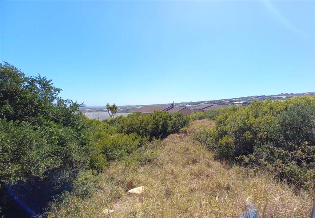 882 m² Land available in Dana Bay photo number 8