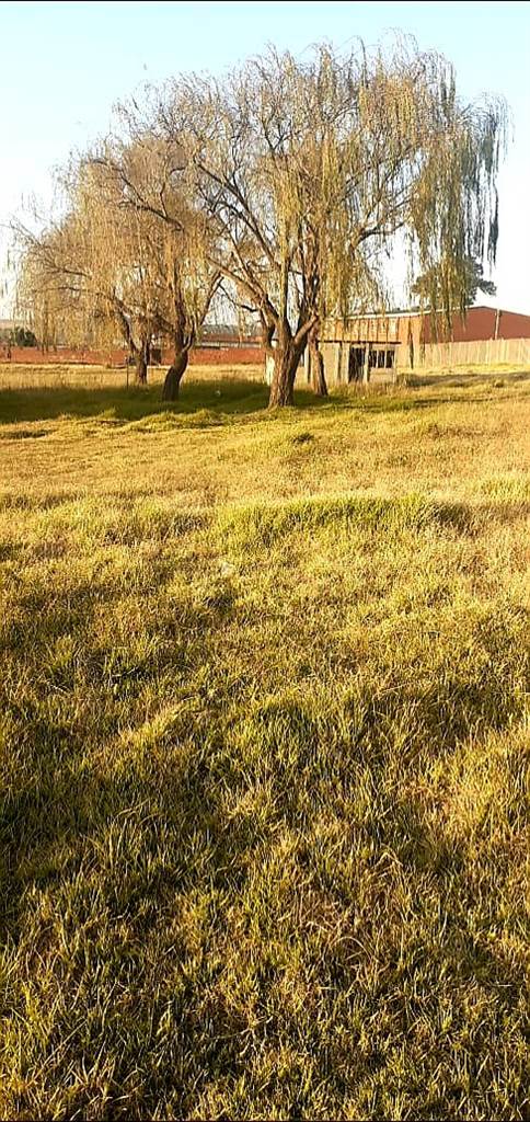4000 m² Land available in Middelburg Central photo number 2