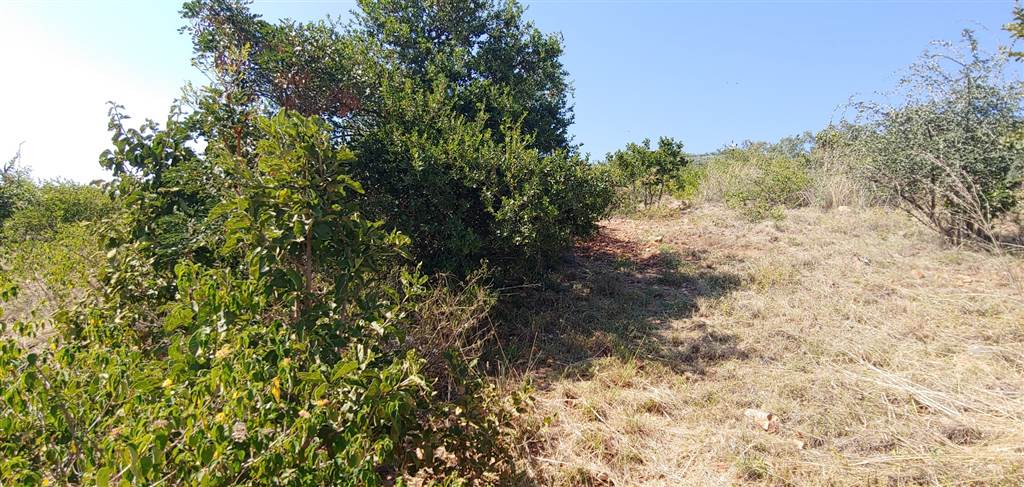 1380 m² Land available in Amandasig photo number 6