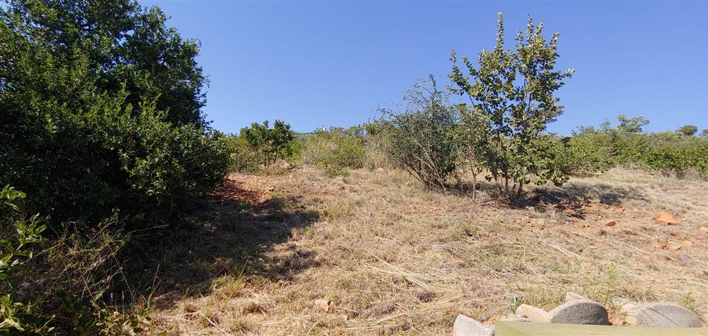 1380 m² Land available in Amandasig photo number 4