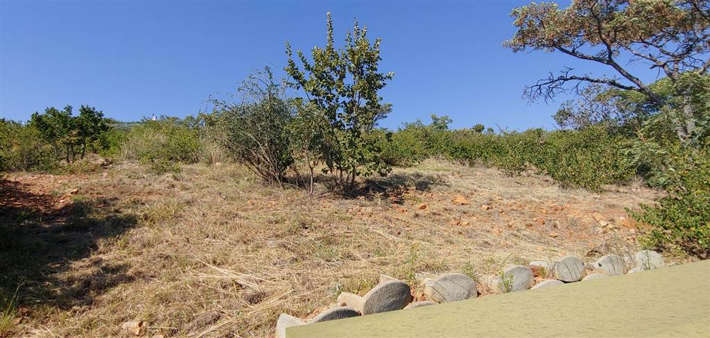 1380 m² Land available in Amandasig photo number 5